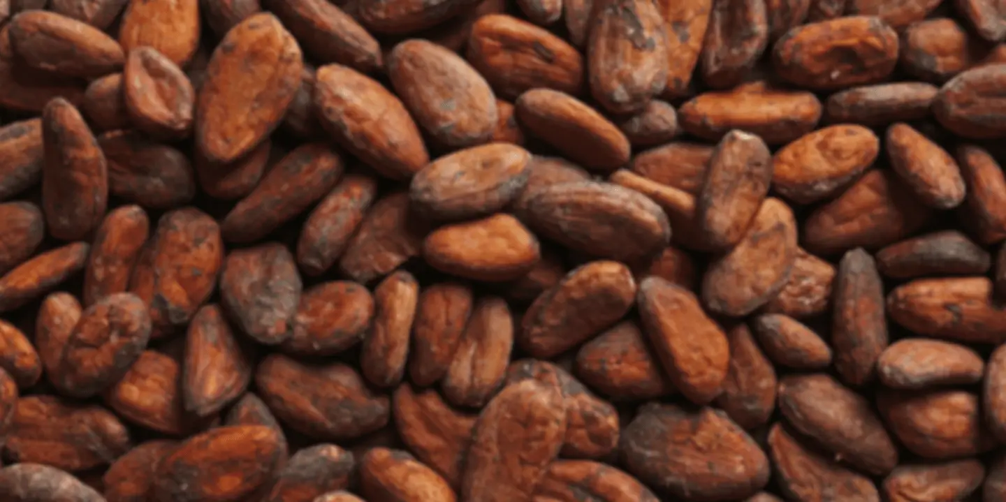 cocoa-beans